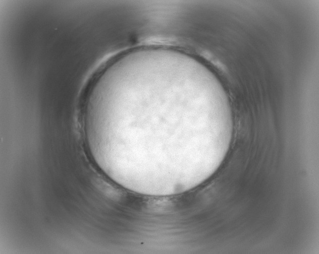 X0000068741454200605192332