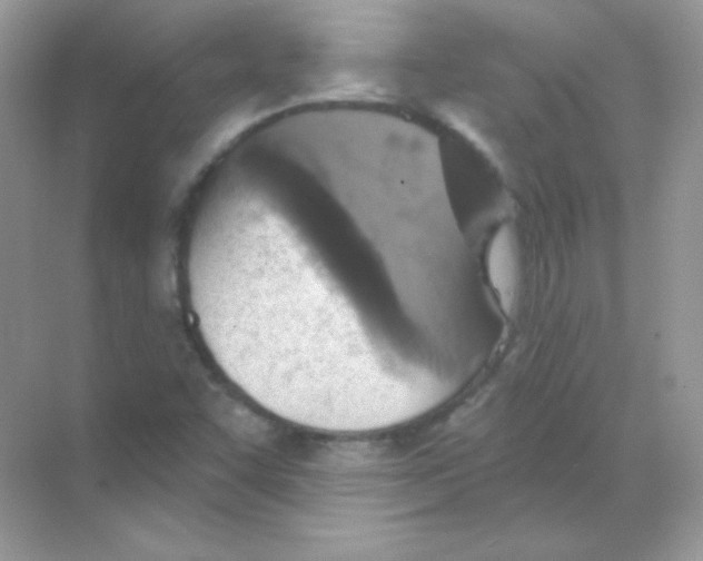 X0000068741455200605192332