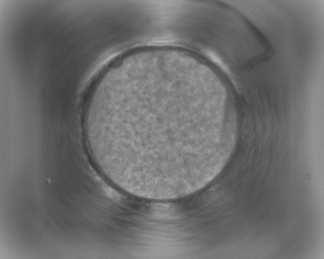 X0000068741456200605192332