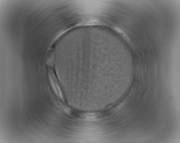 X0000068741457200605192332