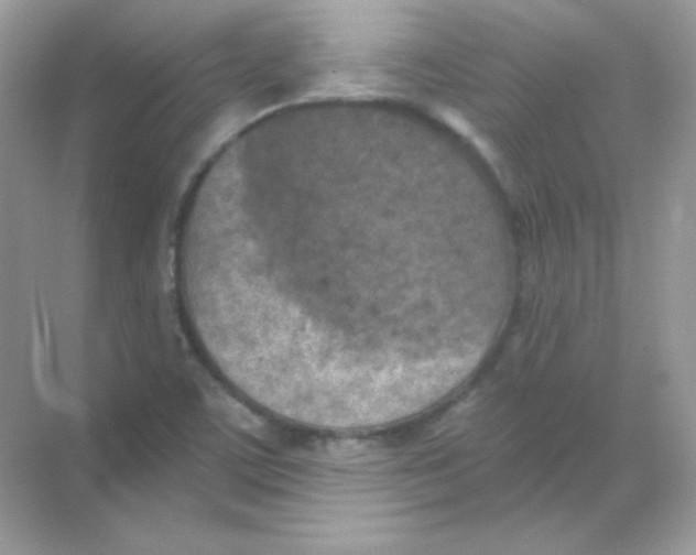 X0000068741459200605192332