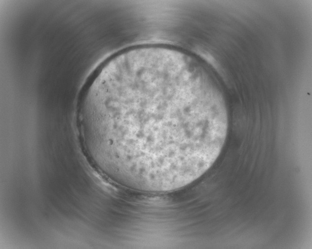 X0000068741460200605192332