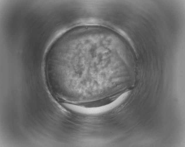 X0000068741464200605192332