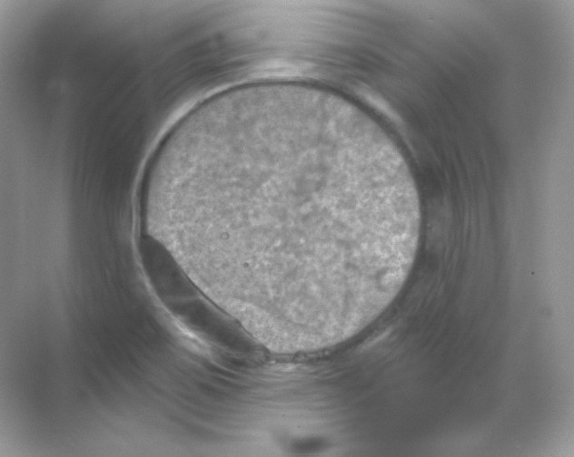 X0000068741467200605192332