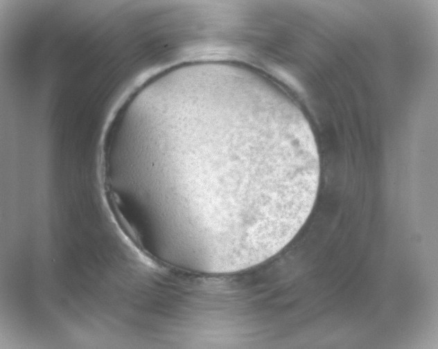 X0000068741472200605192332