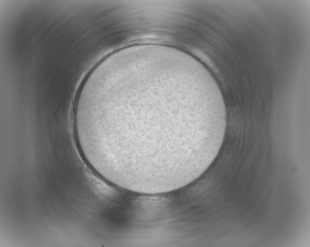 X0000068741474200605192332