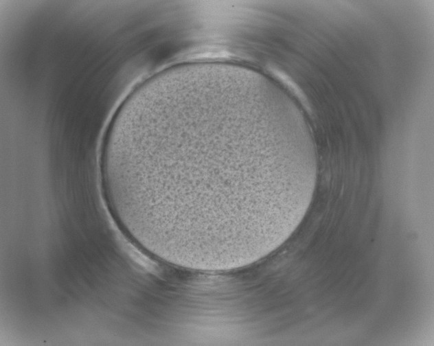 X0000068741475200605192332