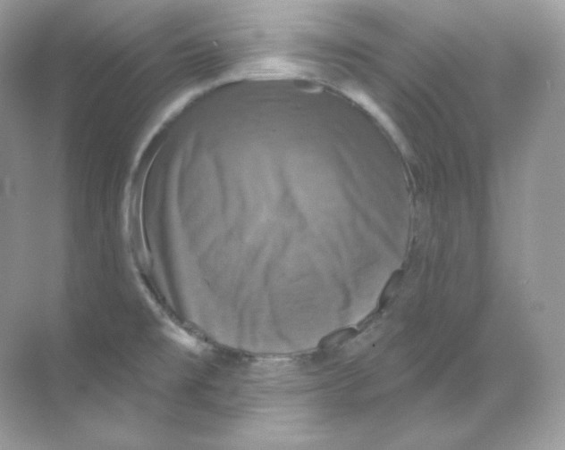 X0000068741477200605192332