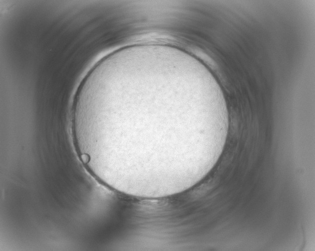 X0000068741478200605192332