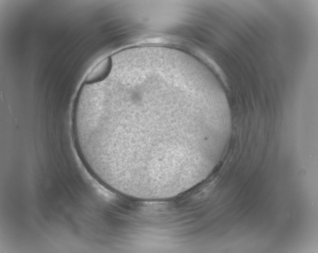 X0000068741483200605192332