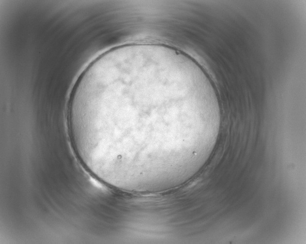 X0000068741486200605192332