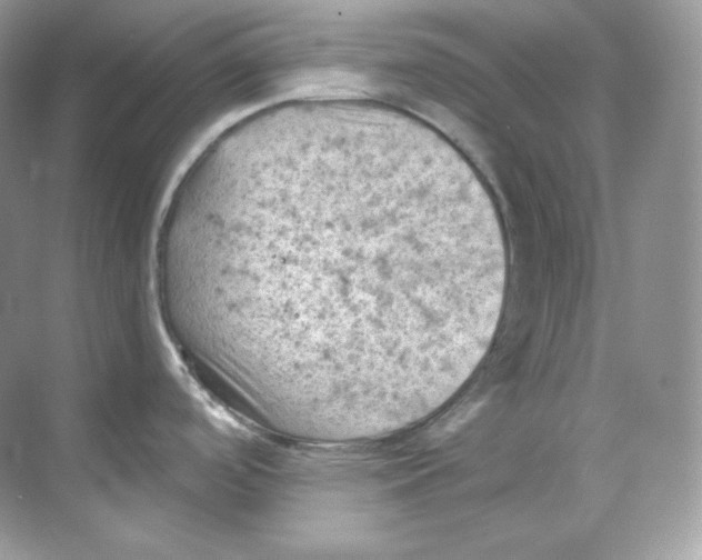 X0000068741488200605192332