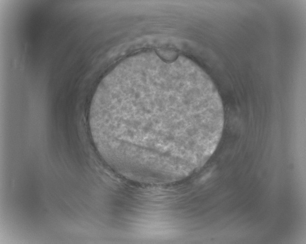 X0000068741489200605192331