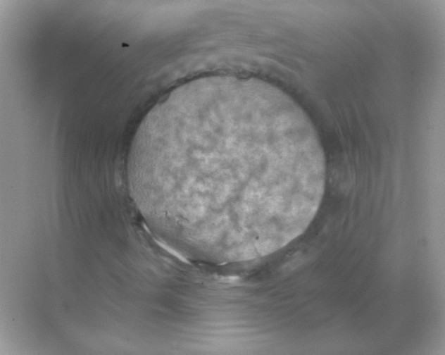 X0000068741490200605192331