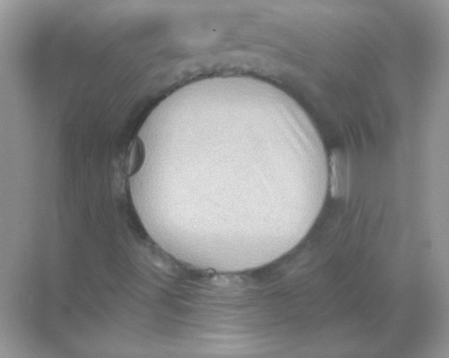 X0000068741491200605192331