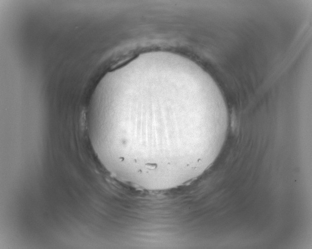 X0000068741492200605192331