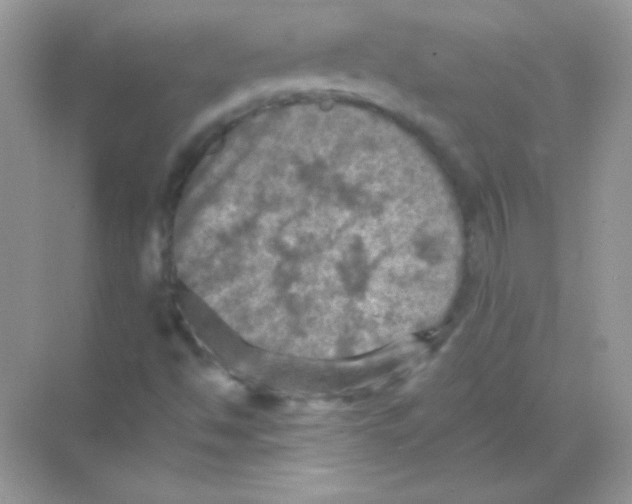 X0000068741494200605192331