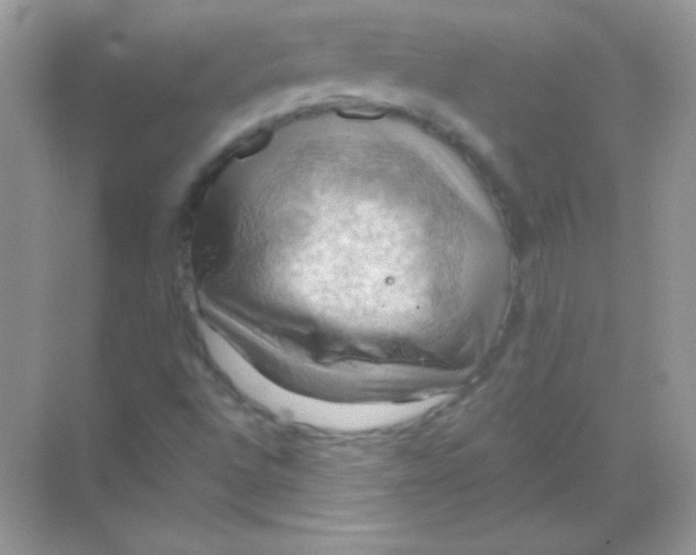 X0000068741496200605192331