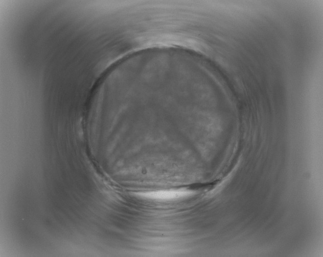 X0000068741497200605192331