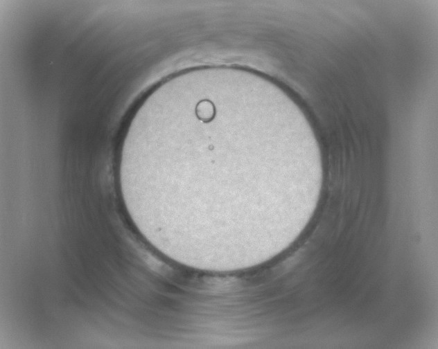 X0000068741498200605192331