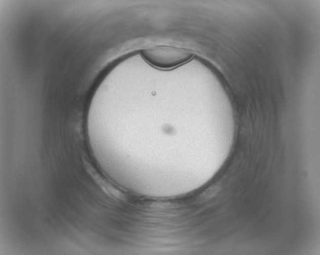 X0000068741499200605192331