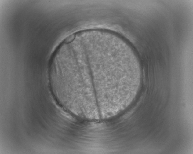 X0000068741501200605192331