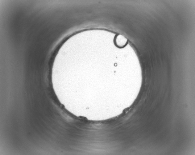 X0000068741502200605192331