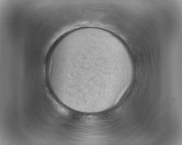 X0000068741503200605192331