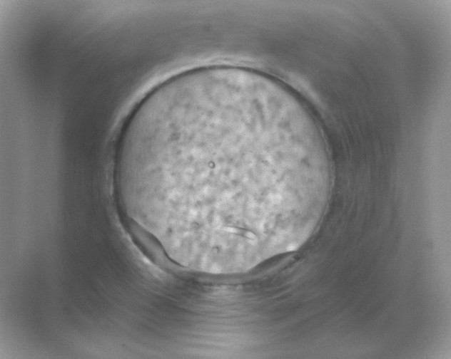 X0000068741504200605192331