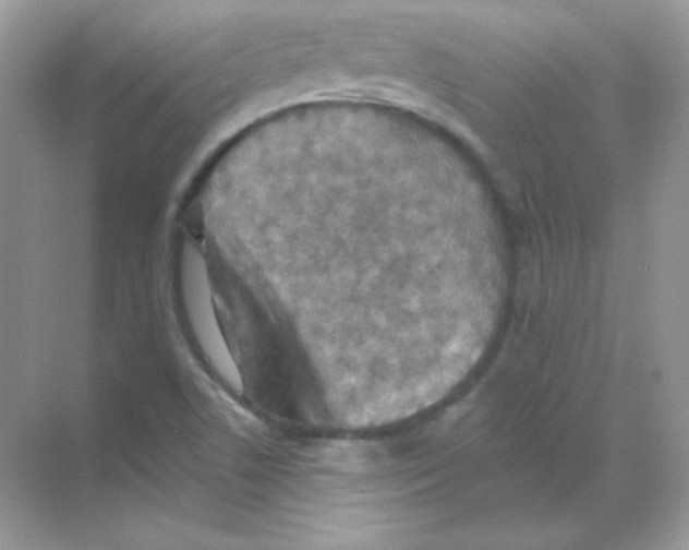 X0000068741506200605192331