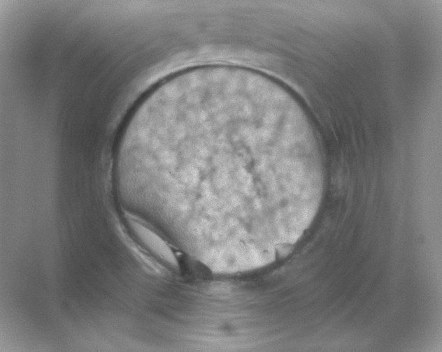 X0000068741507200605192331