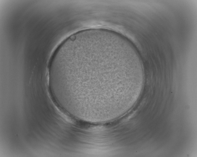 X0000068741509200605192331