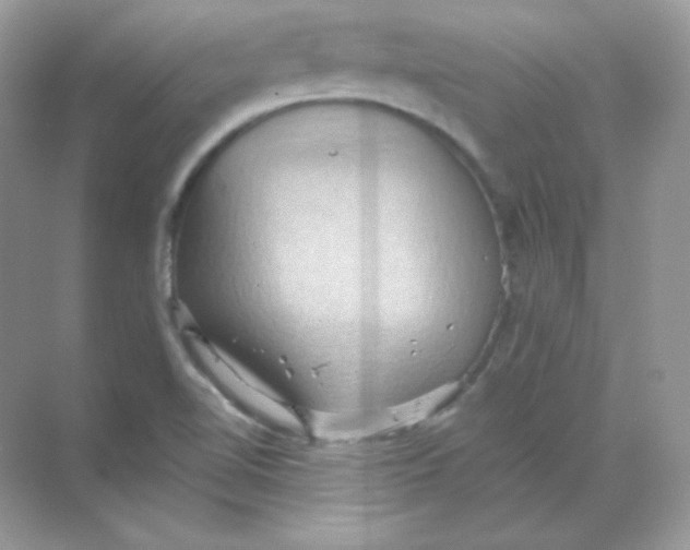 X0000068741510200605192331