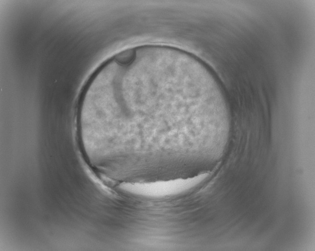 X0000068741511200605192331