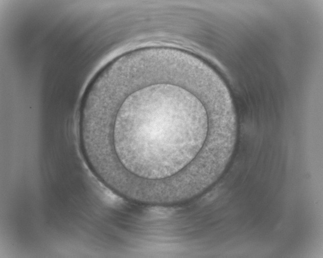 X0000068741514200605192332