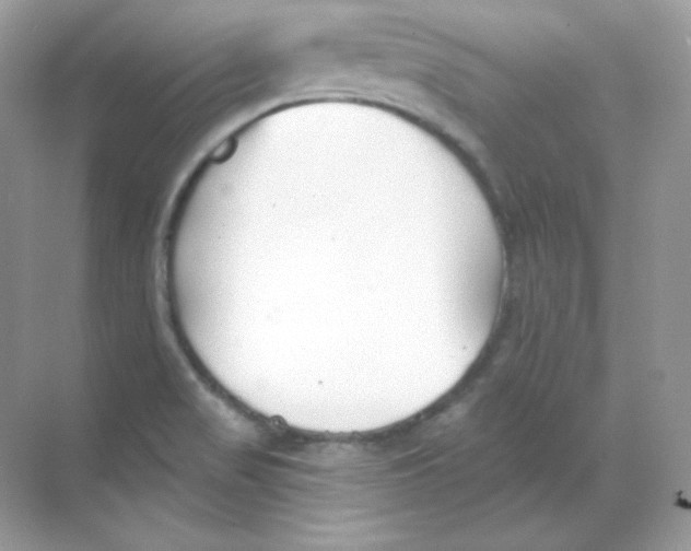 X0000068741517200605192332