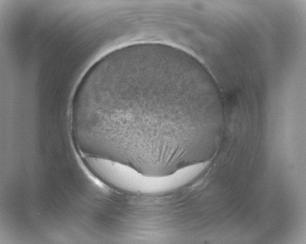 X0000068741519200605192332