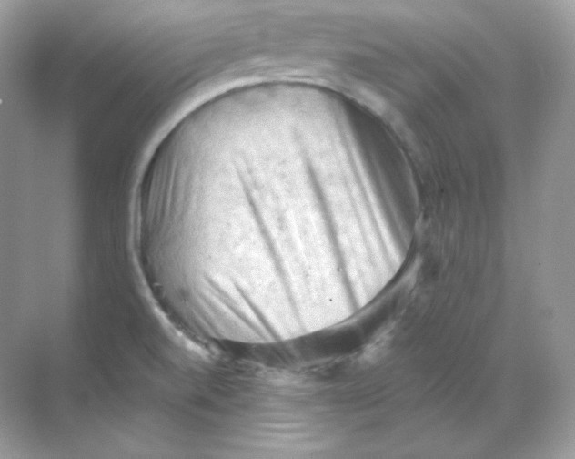 X0000068741520200605192332