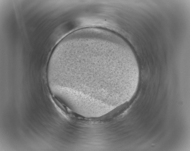 X0000068741521200605192332