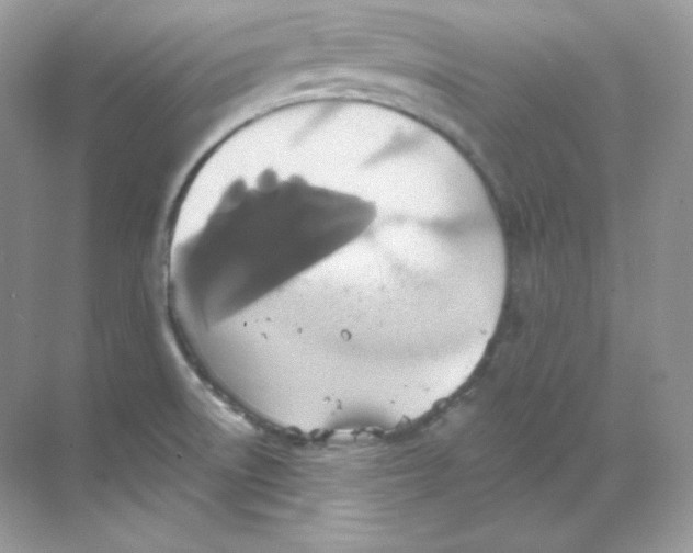 X0000068741522200605192332