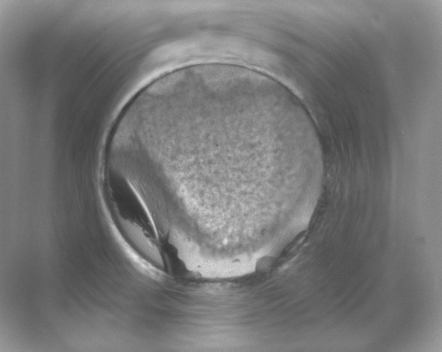 X0000068741523200605192332