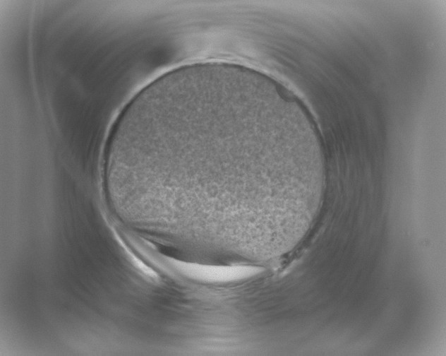 X0000068741525200605192332