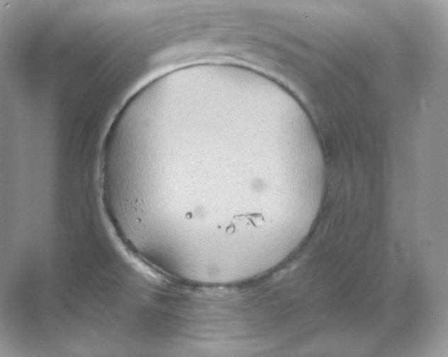 X0000068741526200605192332