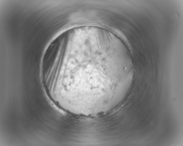 X0000068741528200605192332