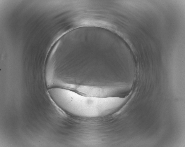 X0000068741529200605192332