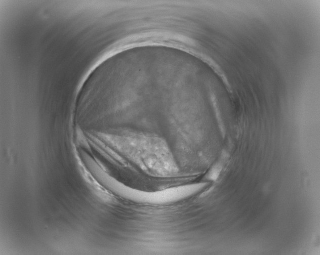 X0000068741530200605192332