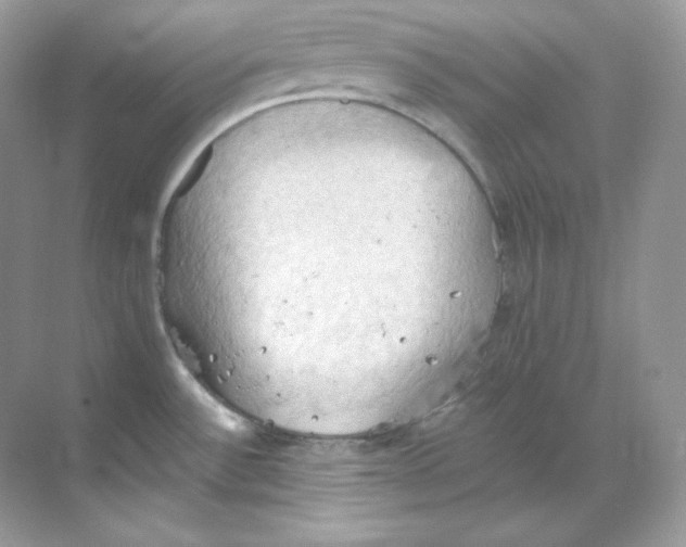 X0000068741532200605192332