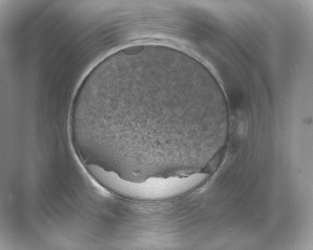 X0000068741533200605192332