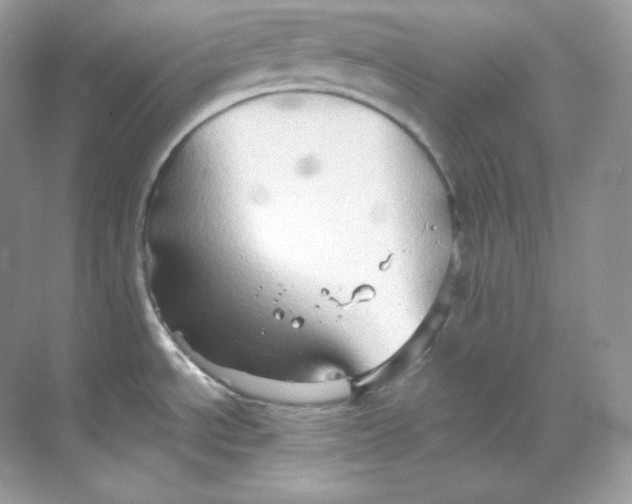 X0000068741534200605192332