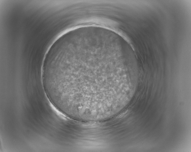 X0000068741535200605192332